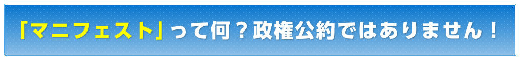 「マニフェスト」って何？政権公約ではありません！