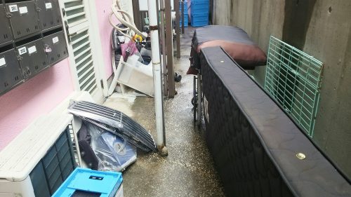 作業がプロフェッショナルでした