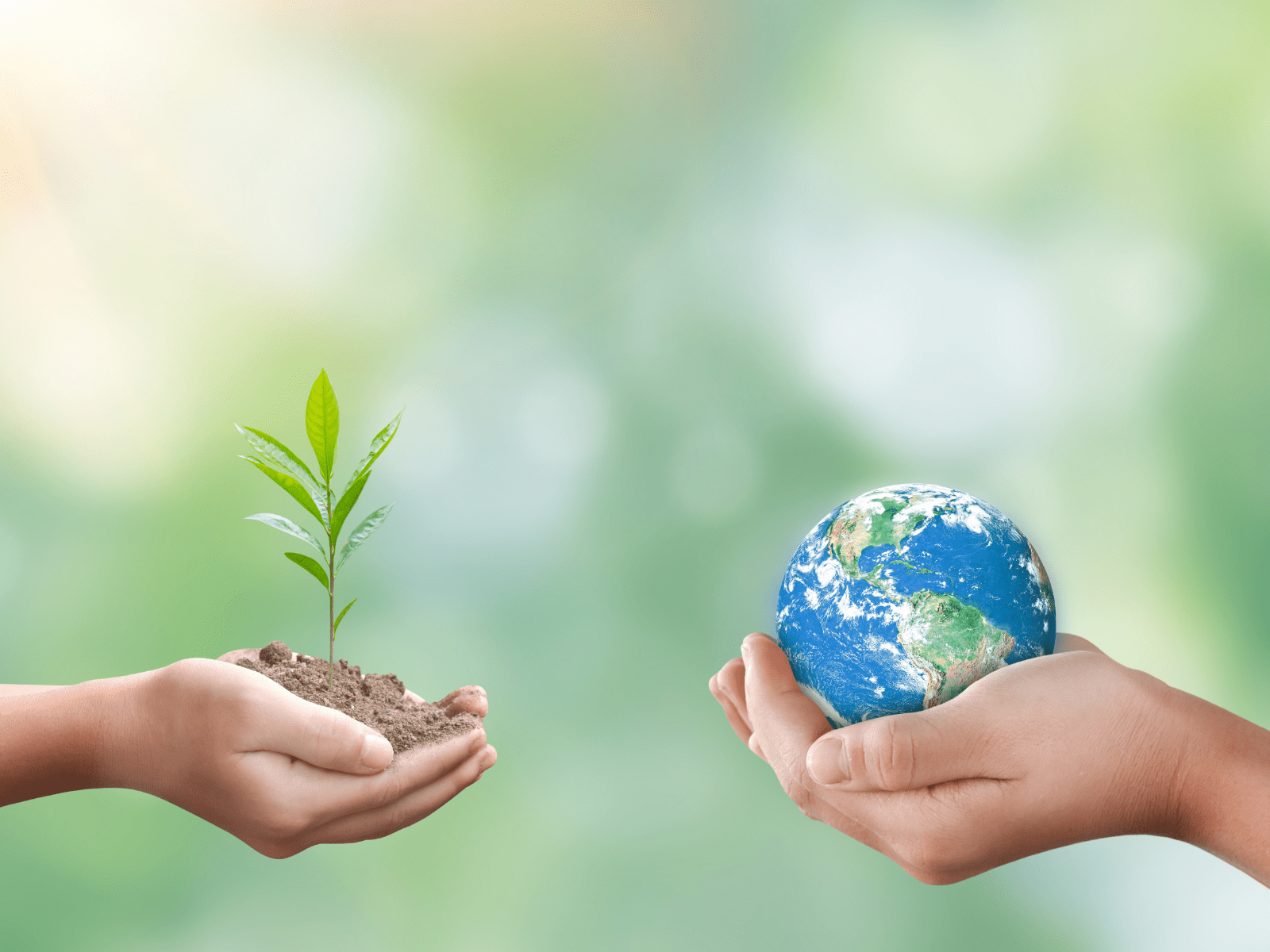 18Rの中身をどう理解すればいいのか